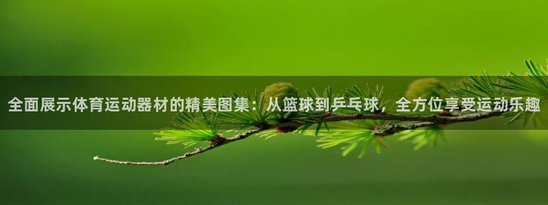 凯发官网下载招商电话地址是多少：全面展示体育运动器材