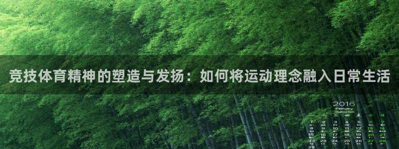德国凯发官方正版app集团：竞技体育精神的塑造与发扬