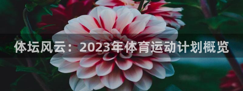 凯发官网下载招商电话号码是多少：体坛风云：2023年