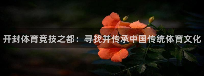 凯发官网下载开户：开封体育竞技之都：寻找并传承中国传