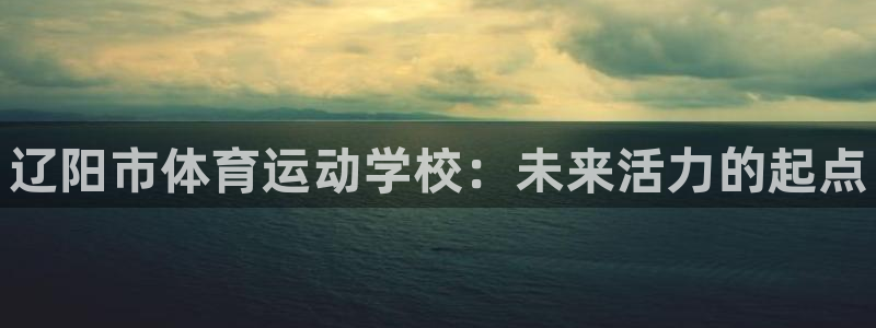 凯发官网下载平台APP：辽阳市体育运动学校：未来活力