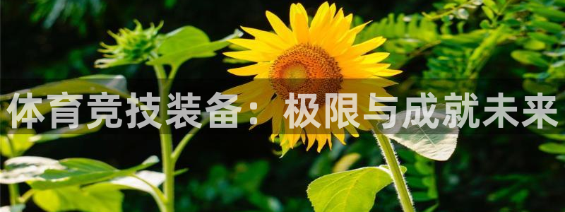凯发官网下载平台APP：体育竞技装备：极限与成就未来