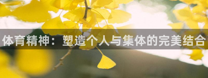 凯发官方正版app代理：体育精神：塑造个人与集体的完