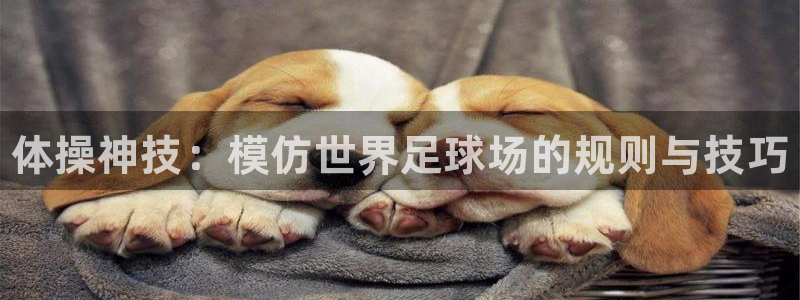 凯发官网下载招商电话是多少：体操神技：模仿世界足球场