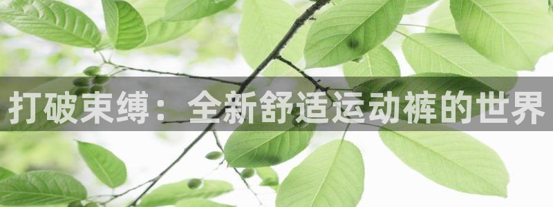 凯发官网下载平台APP：打破束缚：全新舒适运动裤的世界