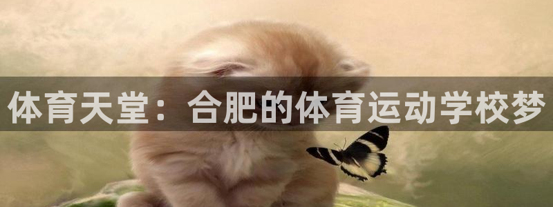 凯发k8网页登录：体育天堂：合肥的体