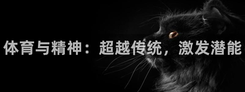 凯发线上地址苹果版下载：体育与精神：