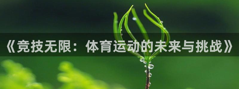 k8凯发赢家一触即发：《竞技无限：体