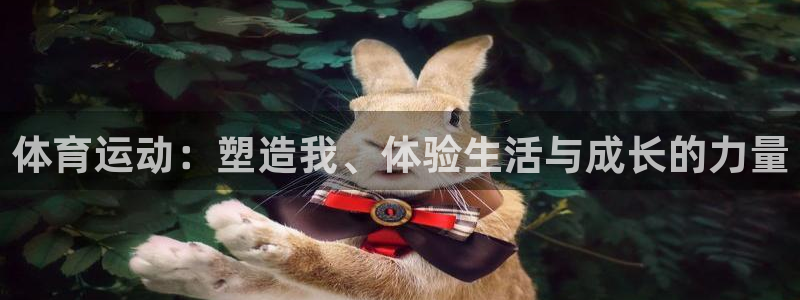 凯发k8旗舰厅ag发财网放心：体育运