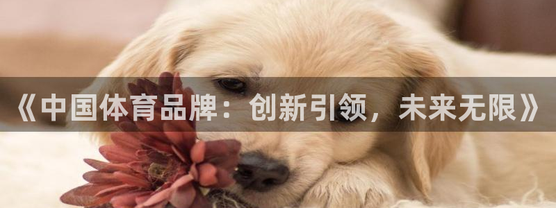  凯发k8com：《中国体育品牌：创新引领，未来无限》