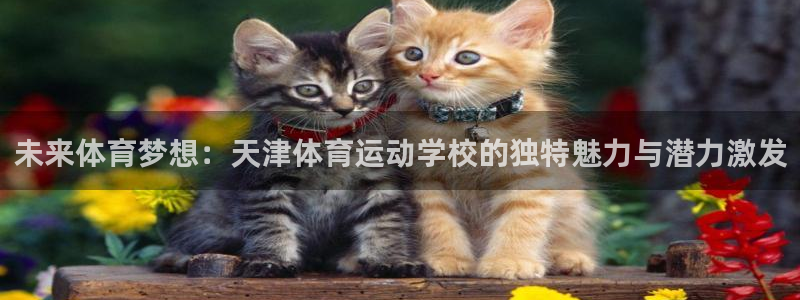  凯发k8注册：未来体育梦想：天津体育运动学校的独特魅力与潜力