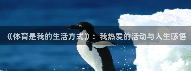 凯发线上客户端免费下载：《体育是我的生活方式》：我热爱的活动