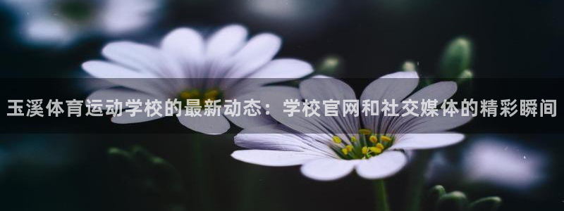 k8凯发天生赢家TBLT：玉溪体育运动学校的最新动态：学校官