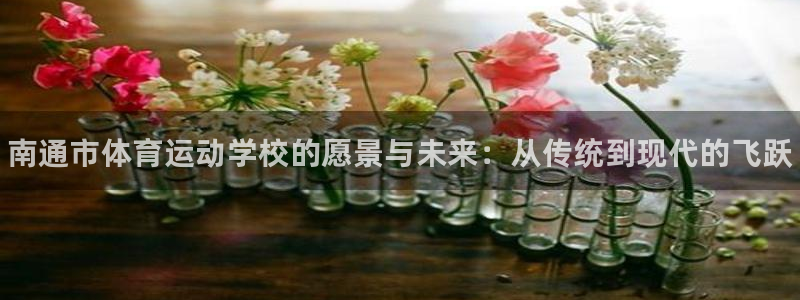 凯发官网下载招商电话号码是多少啊：南通市体育运动学校的愿景与