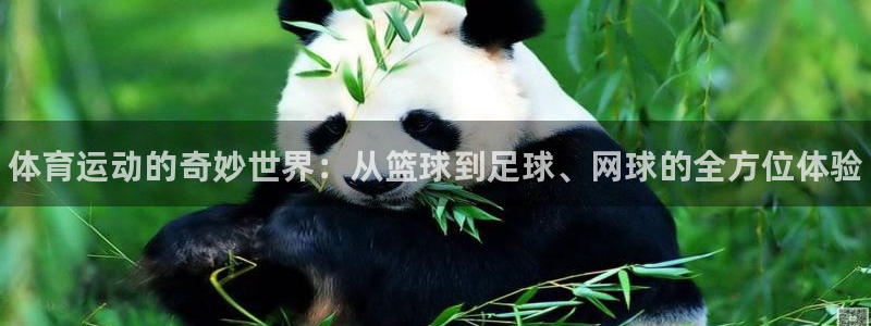 凯发官方正版app新能源