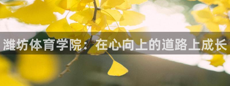凯发官方正版app集团：潍坊体育学院：在心向上的道路上成长