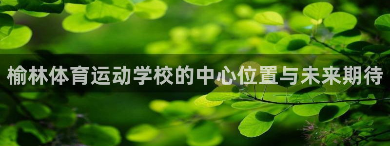 凯发官网下载平台假的吗是真的吗：榆林体育运动学校的中