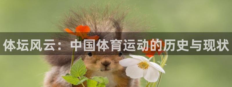 凯发官网下载平台APP：体坛风云：中国体育运动的历史