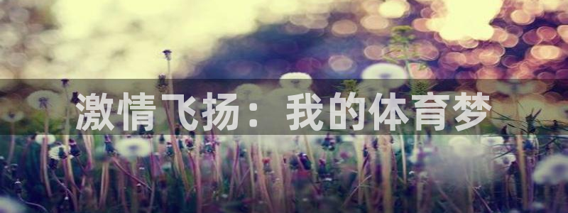 凯发官网下载：激情飞扬：我的体育梦