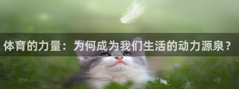 凯发官网下载招商电话地址：体育的力量：为何成为我们生活的动力