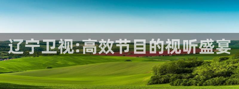 熊猫体育直播平台新v1版.官方站.org：辽宁卫视:高效节目的视听盛宴