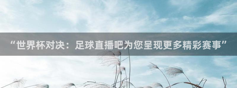 熊猫体育：“世界杯对决：足球直播吧为您呈现更多精彩赛事”