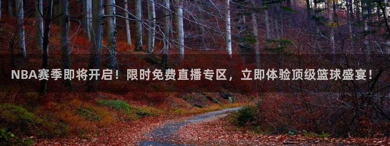 熊猫体育平台直播：NBA赛季即将开启！限时免费直播专区，立即体验顶级篮球盛宴！