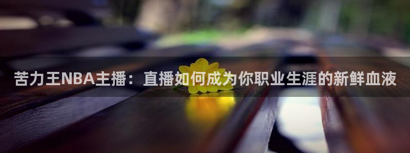 熊猫体育足球直播app：苦力王NBA主播：直播如何成为你职业生涯的新鲜血液